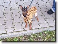 Na�e sle�inka