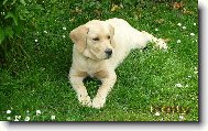 B�ra a jej� holka KETTY