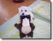 To je moje nov� kamar�dka