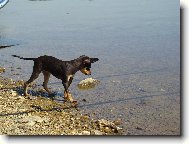 na ryb�ch