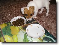 Tak u� m�m domov