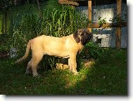 Charon z kraje sokol� 3 m�s�ce