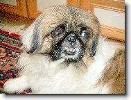 Na�e mal� Besinka