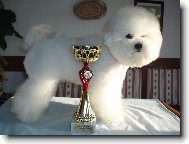 Abigail Sn�hov� obl��ek