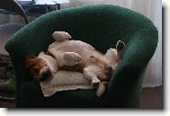 Neru�it, spink�m!!!