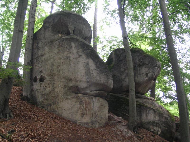 Foto: Hrub� sk�la