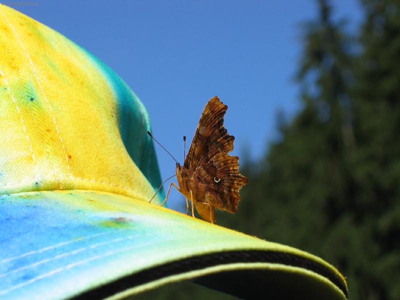 Foto: Kr�sa p��rody