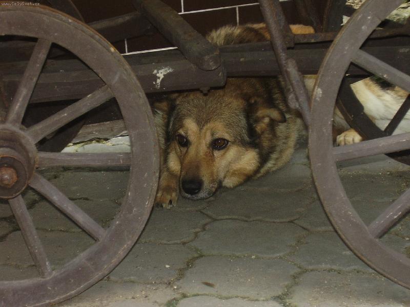 Foto: Odpo�inek po od�d�..