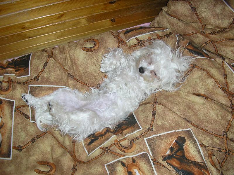 Foto: Nellinka