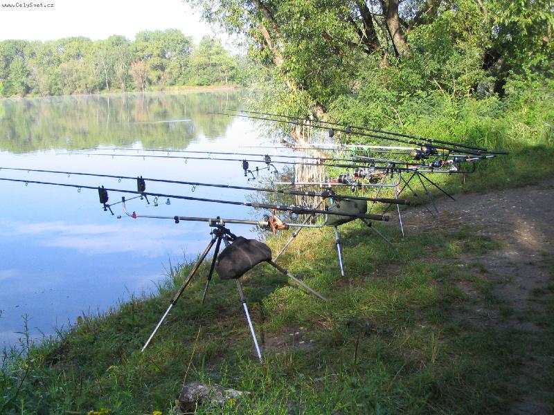 Foto: ryby 2006-ryb��sk� romantika