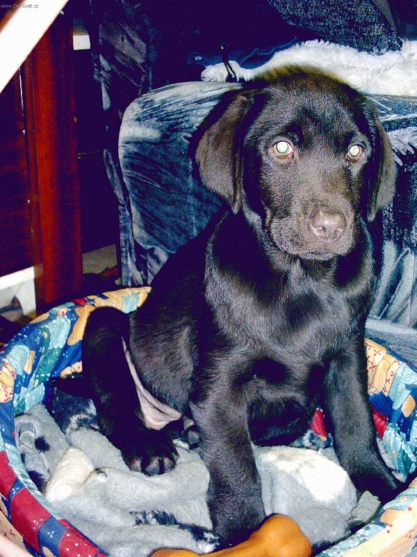 Foto: je�t� mal�,ale �ikovn�