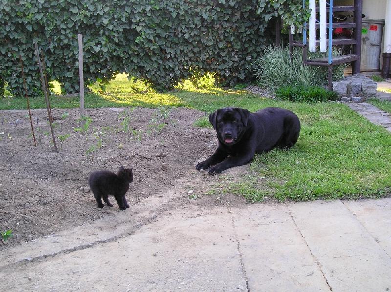 Foto: OBR a B�rt-Nech�pu, co proti mn� m�...