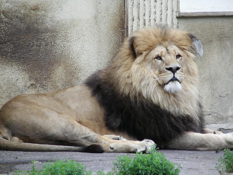 Foto: Ohodno�te pros�m!!