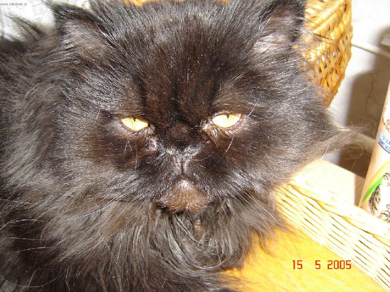 Foto: Hugo-Odpo�inek