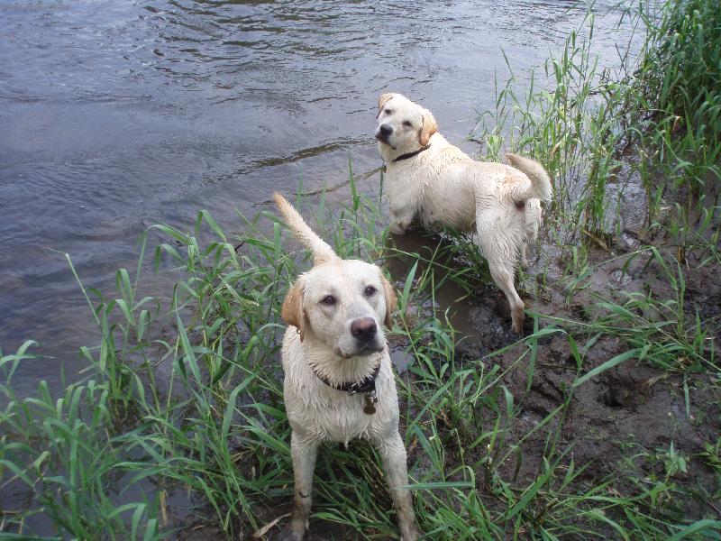 Foto: SAM A BADY-Kamo�i