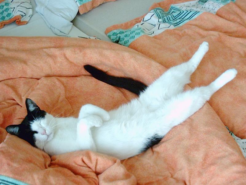 Foto: Nech m� sp�t