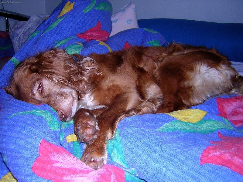 Foto: Linda-Neru�it! P�em��l�m...