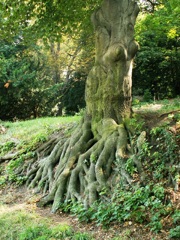 Foto: Star� d�ma