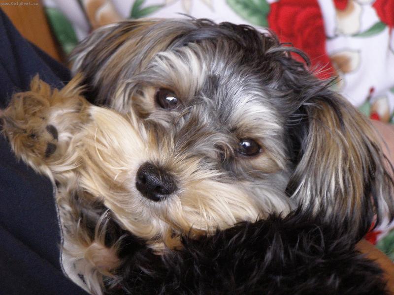 Foto: Megi-slast :o)