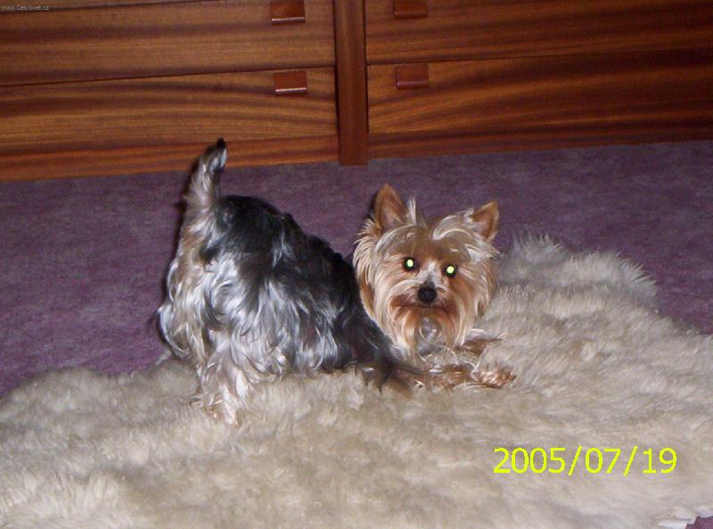 Foto: Poj� si hr�t