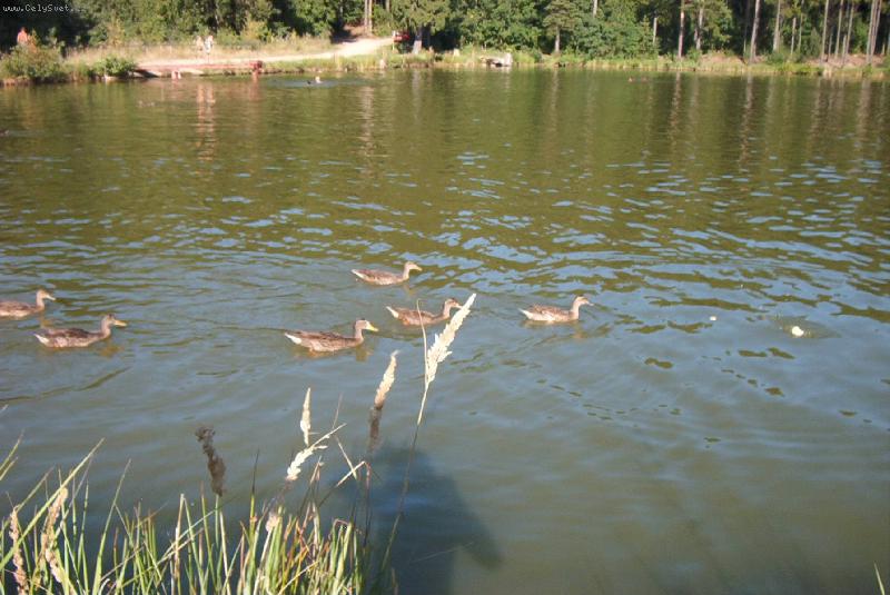 Foto: pt�k-u� je tady