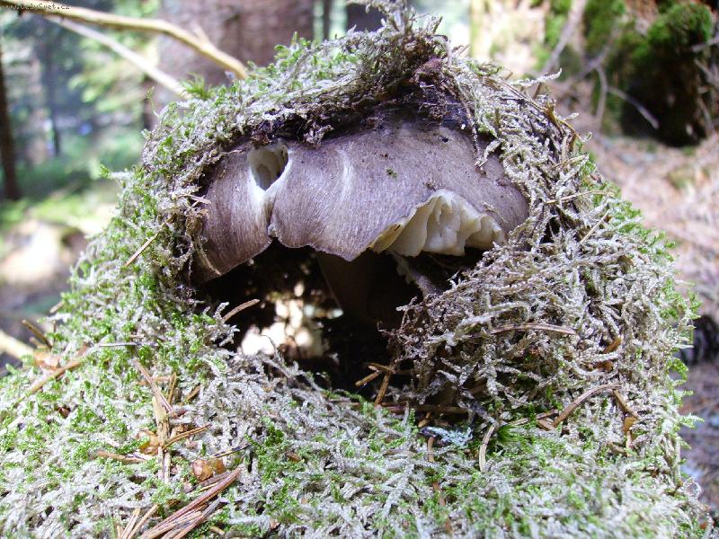 Foto: Hra na schov�vanou