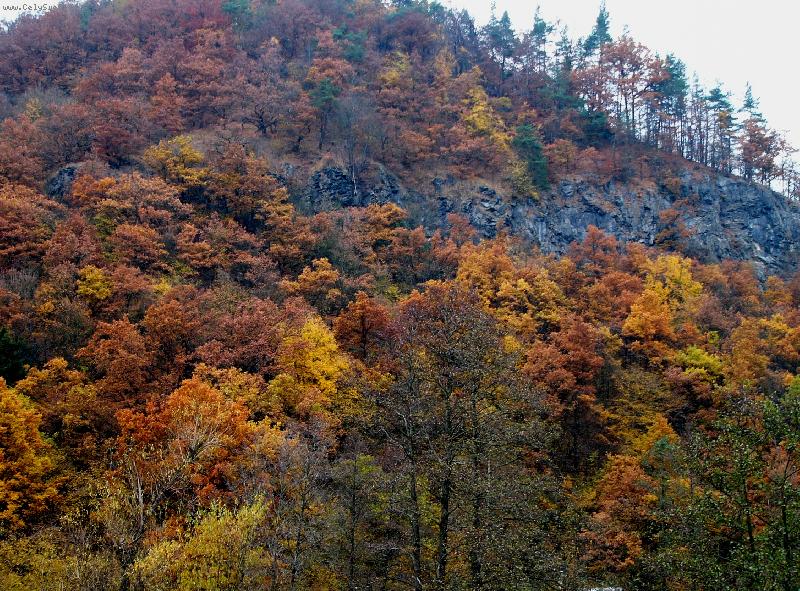 Foto: paleta barev podzimu