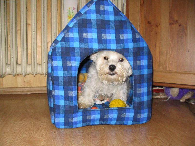 Foto: lacky-nov� boudi�ka