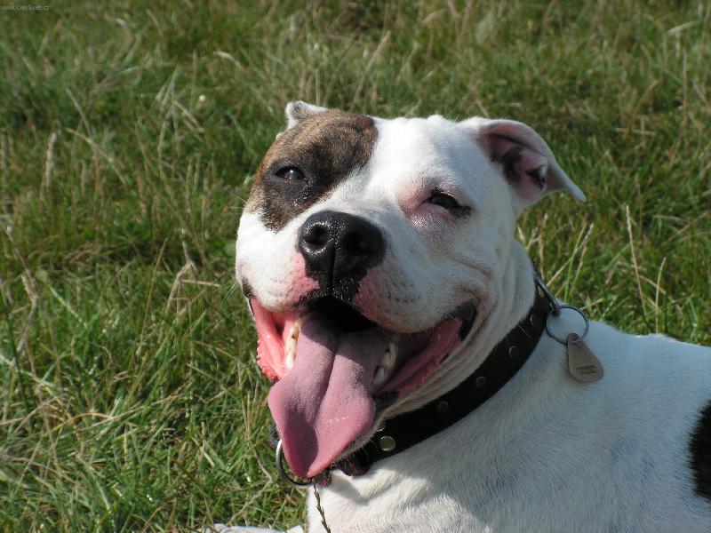 Foto: �sm�v pros�m