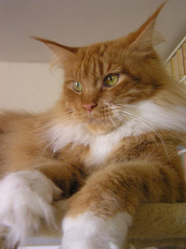 Foto: Charlotta-P�i odpo�inku