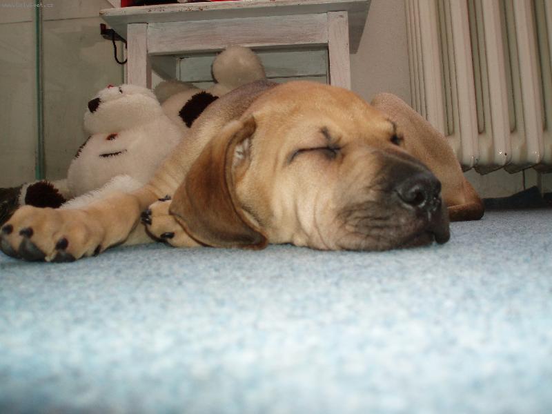 Foto: Citunka-sp�nek