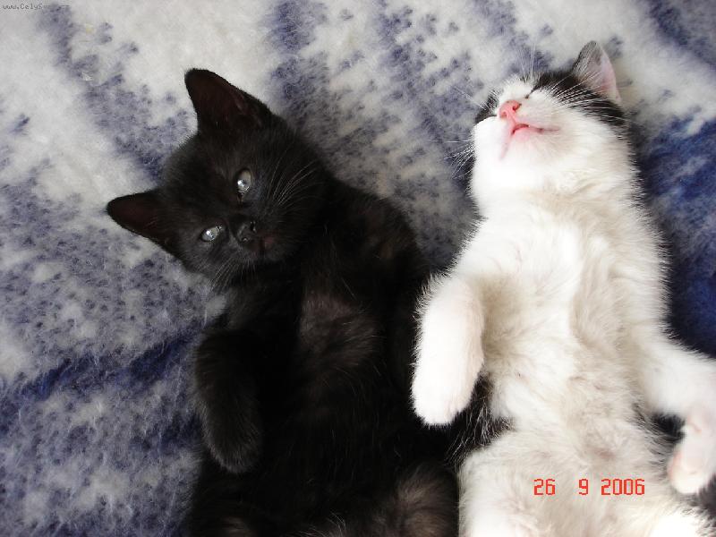 Foto: pohodi�ka v posteli