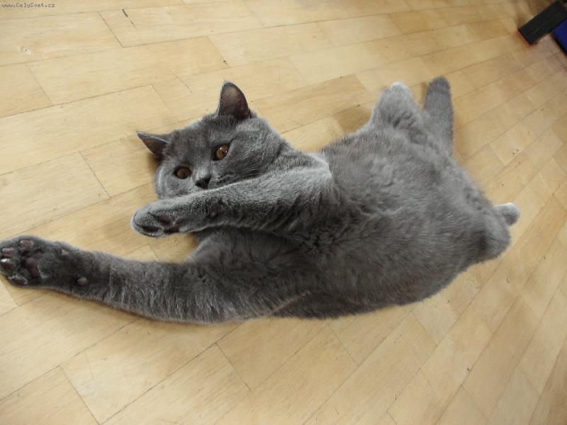 Foto: Hrdina-Jsem SUPERMAN ! ! !