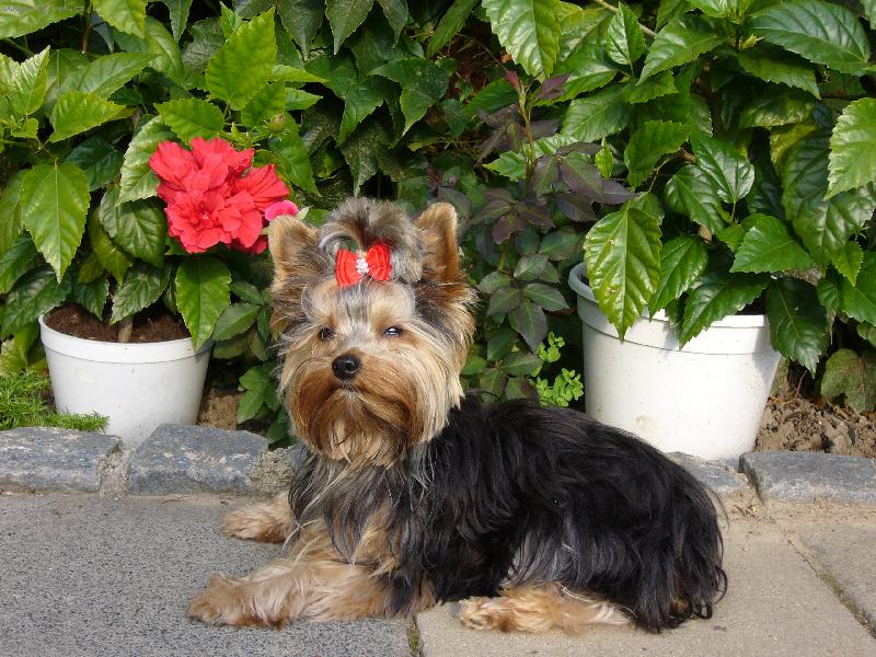 Foto: Sendy-Vyh��v�n� na slun��ku