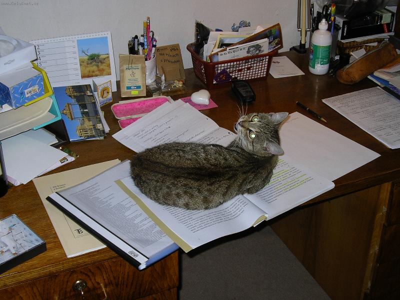 Foto: Se u�it, se u�it, se u�it...-Hej neru�! Musim se �prtat!