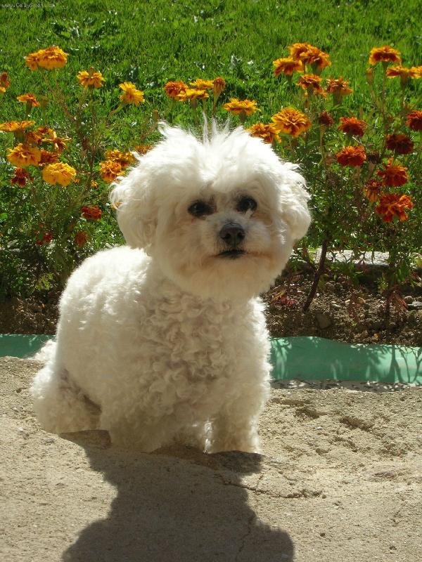 Foto: Dianka-na chaloupce