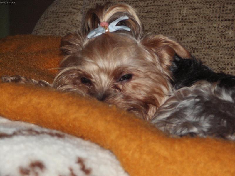 Foto: Johny-spinkej...spinkej...