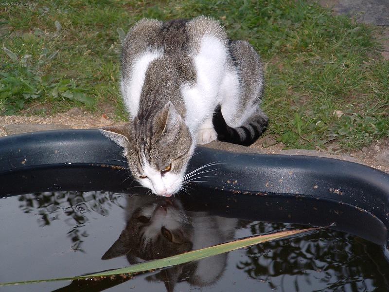 Foto: MICINA- ...��ze� �elmy...