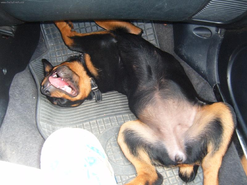 Foto: Na�e Maya-To byl ale dobrej vtip..