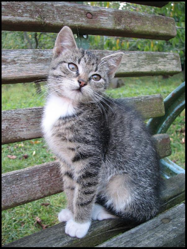 Foto: P�zov�n� na lavi�ce