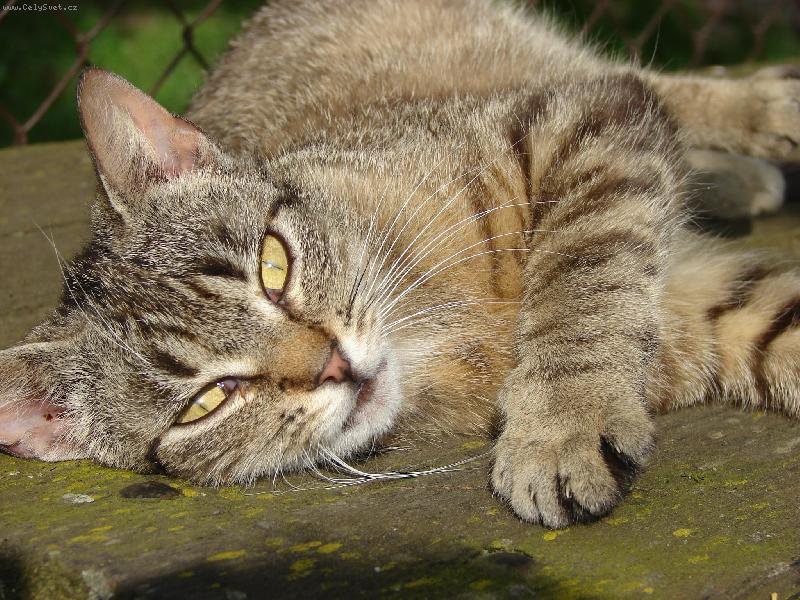 Foto: Eminda-to je na�e modelka