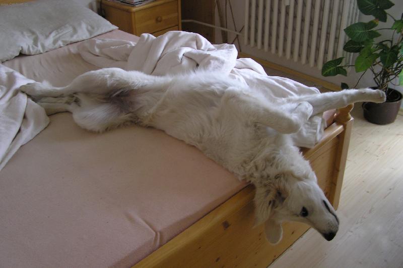 Foto: A opravdu mus�m ven?!