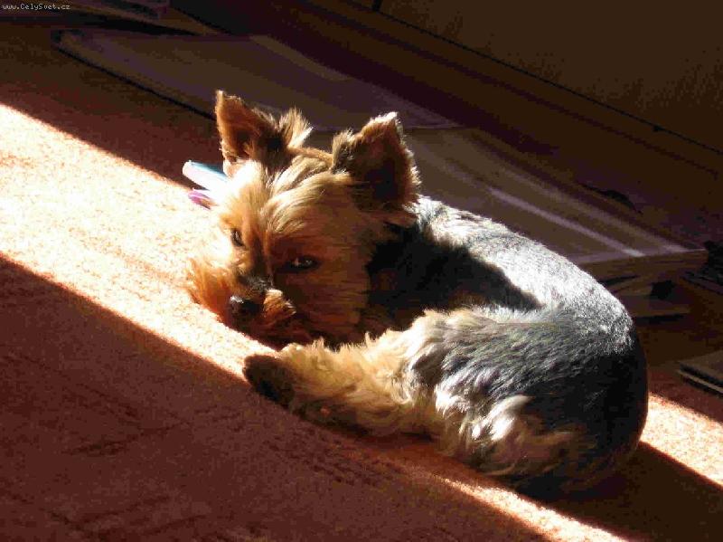 Foto: Co por�d m�