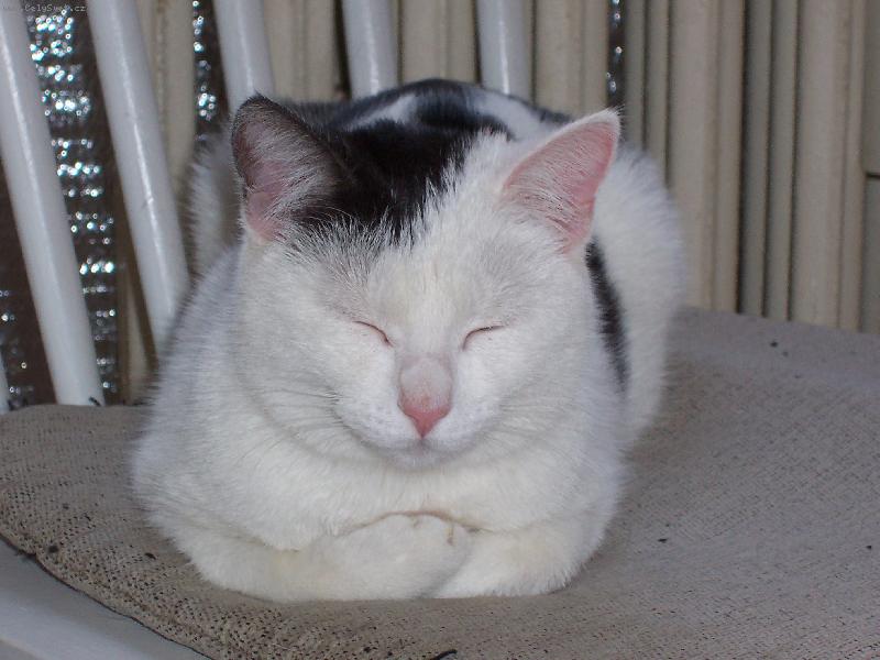 Foto: Cecilka-Cecilka