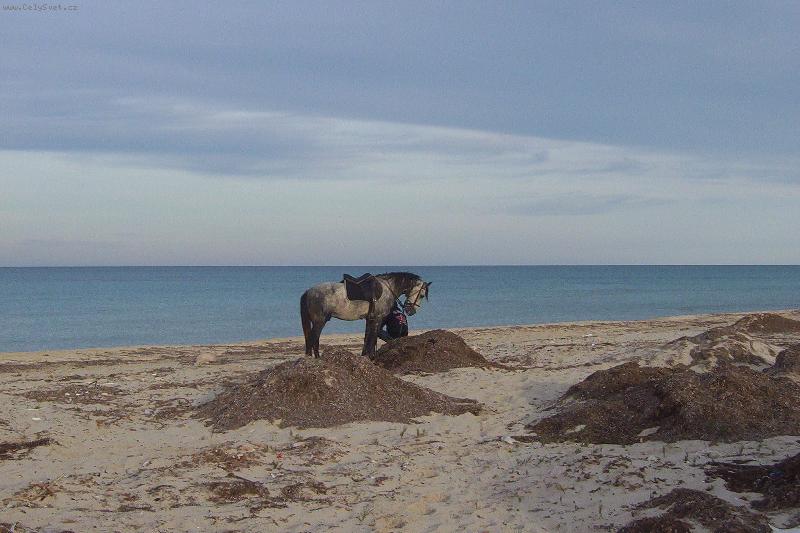 Foto: Djerba-berber