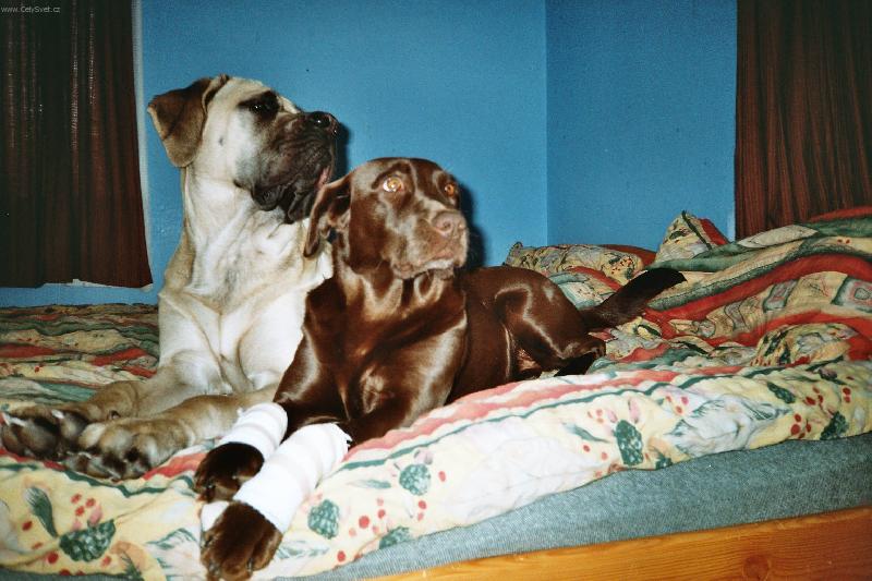 Foto: Terezka a Wendy