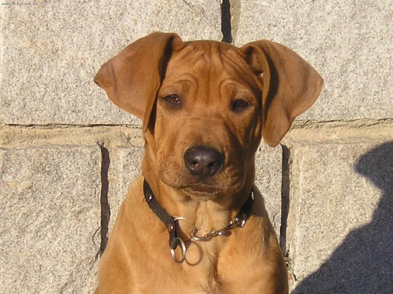 Foto: Chvilinku v klidu!