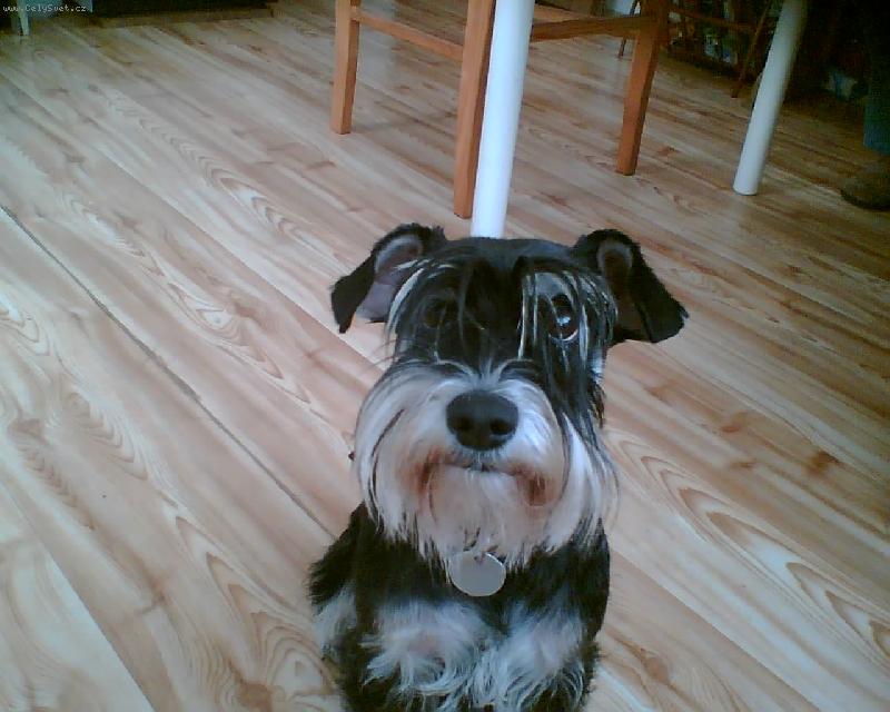 Foto: na�e Nelinka