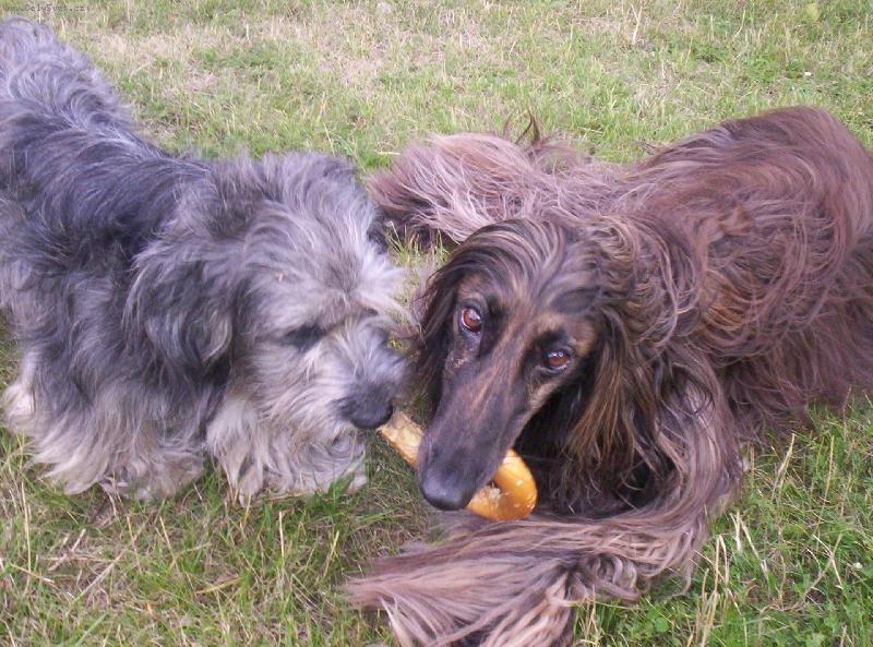 Foto: Cidinka a Ben��ek-m�j klac�k, n�n� m�j:o))