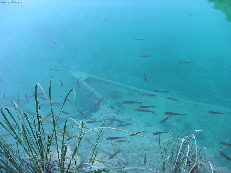 Foto: lodi�ka-Plitvice